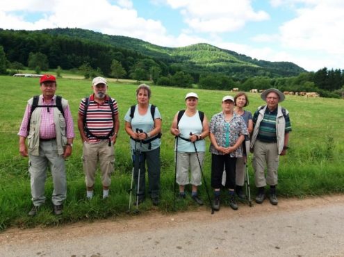kaltes-feld-am-wegesrand