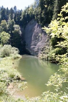 Nagelfluhwand