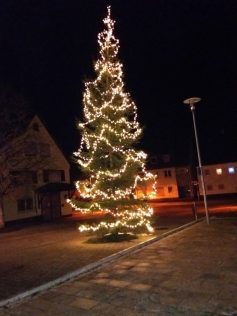 weihnachtsbaum-komp